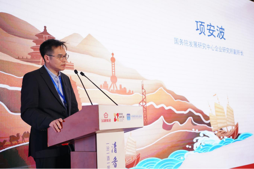 图为国务院发展研究中心企业研究所副所长项安波发言