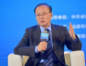 魏建国：共建“一带一路”从“大写意”走向“工笔画”